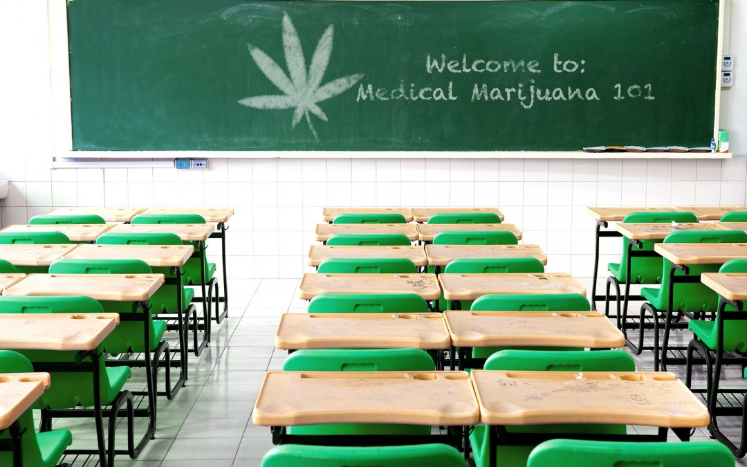 school for marijuana3 1080x675