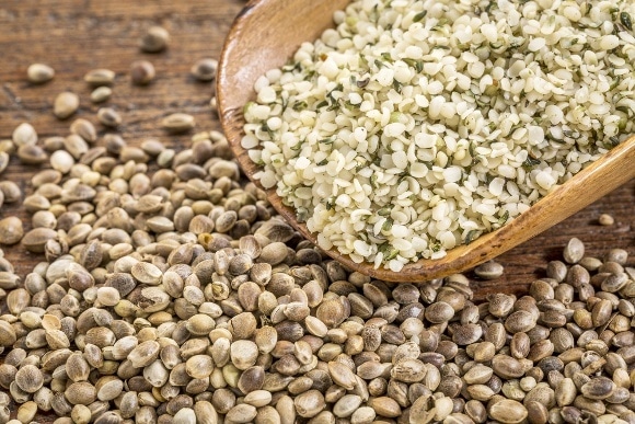 6 dowodów o zdrowych korzyściach nasion konopi
