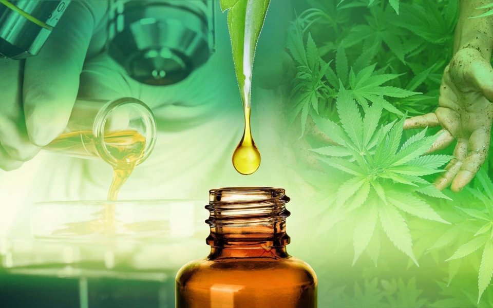 The 8 Most Important Cbd Studies Ever Published Hero