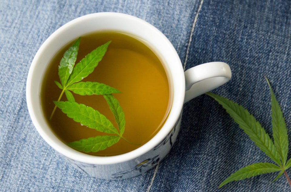 Herbata z konopi - 7 powodów, aby zacząć ją pić