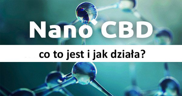 Nano CBD - co to jest i jak działa? 