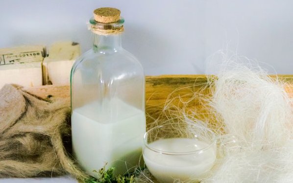 Jak łatwo i szybko przygotować mleko konopne?