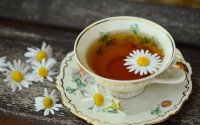 Herbaty konopne z tradycyjnymi ziołami- nowość w naszej ofercie