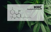 Co to jest HHC? Efekty i zastosowania