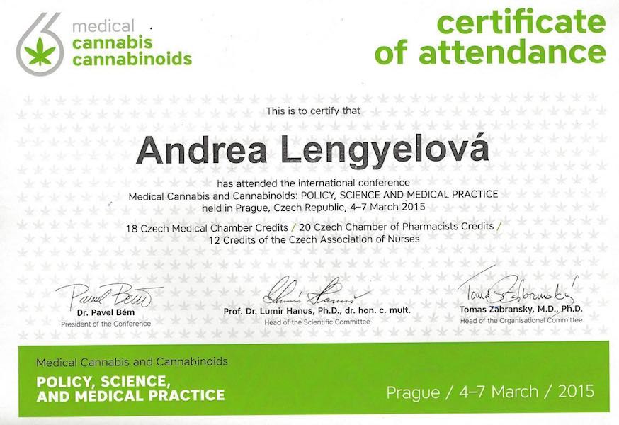 medical cannabis certification